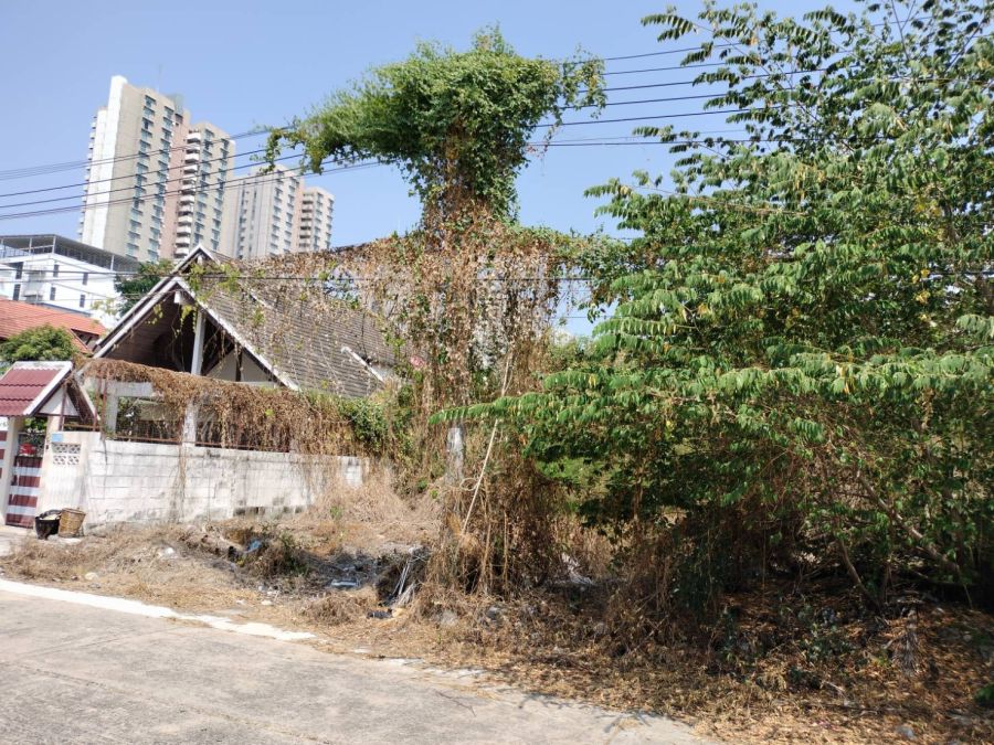- LAND FOR SELL!! ขายที่ดินเปล่า 75 ตรว. ในเมืองทองธานี ใกล้ถนนบอนสตรีท หน้ากว้าง 12 ม. พร้อมโอนฯ