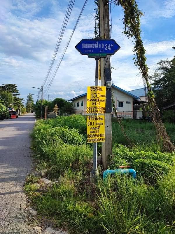 - ขายที่ดินปทุมธานีคลองสี่คลองหลวงราคาถูกทำเลดีขายที่ดินปทุมธานีคลองสี่คลองหลวงราคาถูกทำเลดี