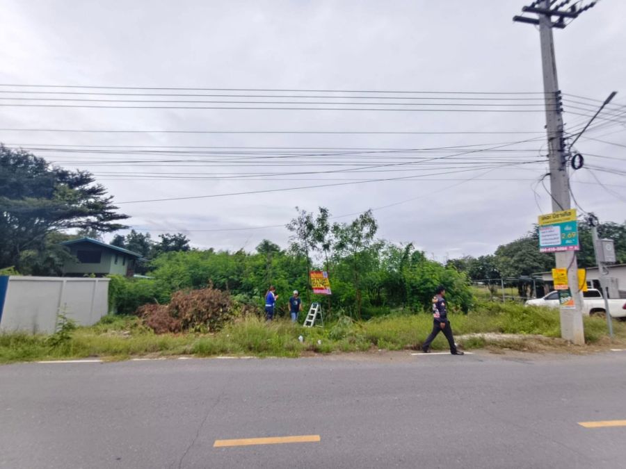 - ขายที่ดินปทุมธานีบางหลวงราคาถูกทำเลดีมาก