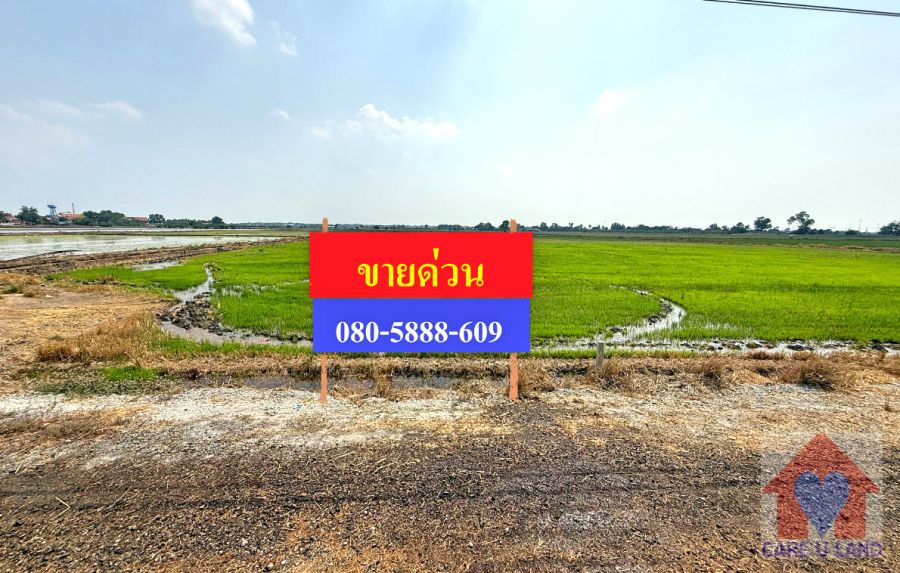 - ขายยกแปลง ที่ดินเกษตรกรรมผืนใหญ่ 17 ไร่เศษ อ.บางเลน นครปฐม ทำเลดี น้ำท่าอุดมสมบูรณ์ ใกล้กรุงเทพฯ