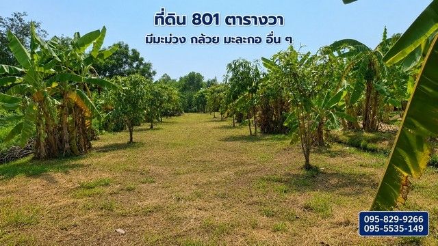 - ขายที่ดินถมแล้ว 2-0-01ไร่ โครงการ Wellness City (เวลเนสซิตี้) เพื่อการพักวัยเกษียณ ใกล้ถนนปทุมธานี-สามโคก-เสนา (ทล.3111)อ.บางไทร จ.อยุธยา