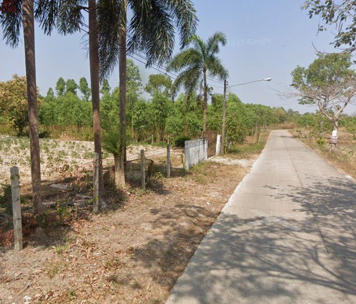 - ขายที่ดินหนองกี่ 3 ไร่ ติดถนนคอนกรีต ใกล้ถนนเส้น304-3กม. อ.กบิทร์บุรี ปราจีนบุรี