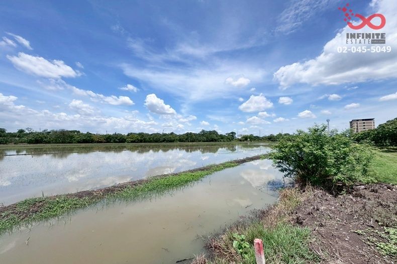 - ขายที่ดิน 1 ไร่ คลองห้าตะวันออก คลองหลวง ถนนรังสิต นครนายก แปลงสวย ทำเลดี
