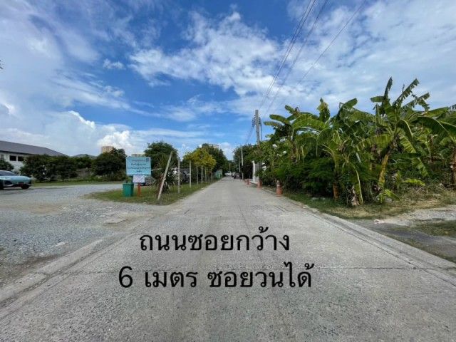 - ขายที่ดิน แบริ่ง 31/1 สุขุมวิท 107 ใกล้ถนนแบริ่ง เนื้อที่ 260 ตรว.
