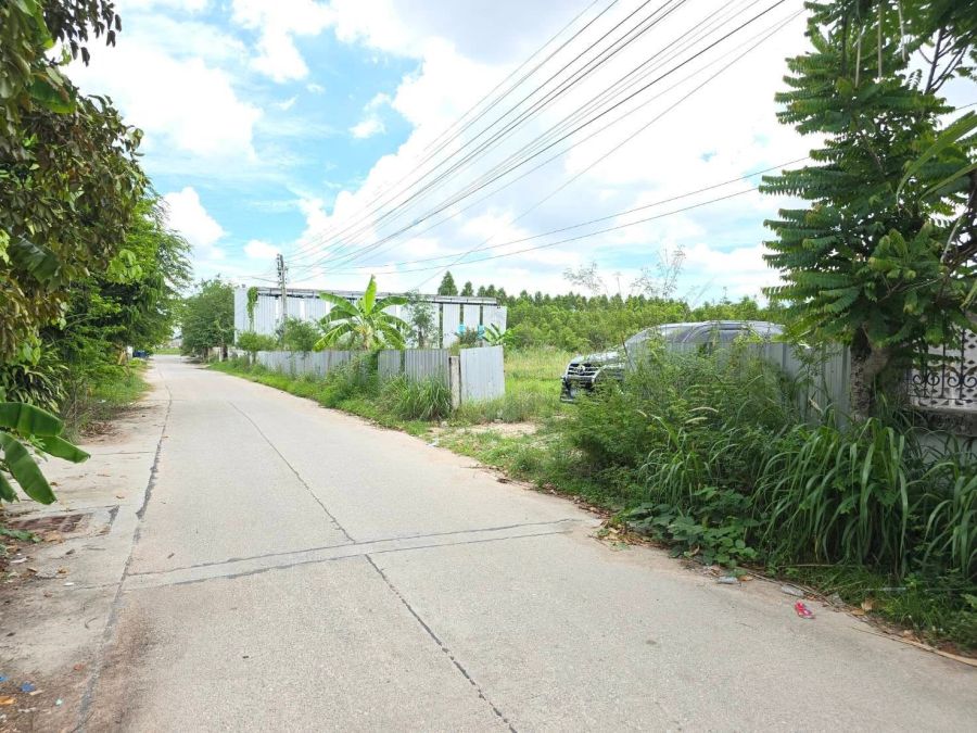 - ขายที่ดินมาบโป่ง 2 ไร่ ซอยหนองกาน้ำ ติดถนนคอนกรีตใกล้นิคมอมตะ-10กม. อ.พานทอง ชลบุรี