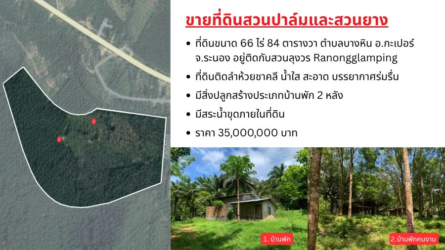 - ขายที่ดินผืนใหญ่พร้อมสวนปาล์มและสวนยางพารา มีลำห้วยโอมล้อม ต.บางหิน อ.กะเปอร์ จ.ระนอง