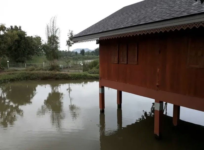 - ขายที่ดินพร้อมบ้านและสวนลำไย 14 ไร่ ทำเลดีมาก อ.เมือง จ.ลำพุน