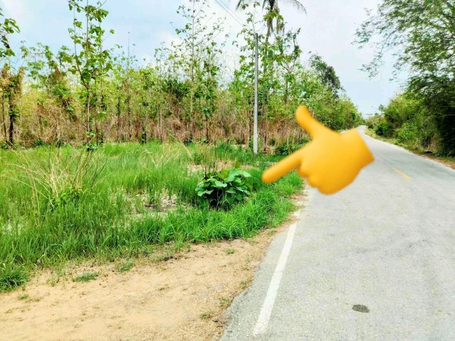 - ที่ดินแปลงสวย เขต อ.เมืองอุตรดิตถ์ ราคาถูก