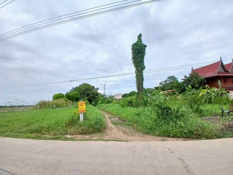 - ขายที่ดิน ซอยวัดศรีประชาธรรม(วัดใหม่บัวชม) วังน้อย
