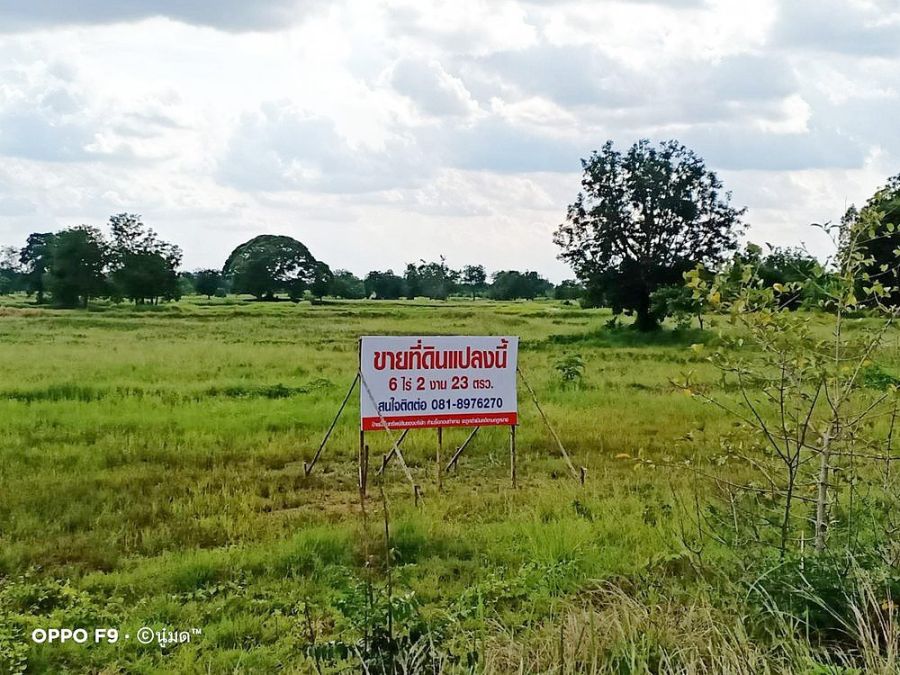 - ขายที่ดินชัยภูมิ ต่ำกว่าประเมิน 6-2-23 ไร่ ตำบลหนองบัวใหญ่ อำเภอจัตุรัส จังหวัดชัยภูมิ