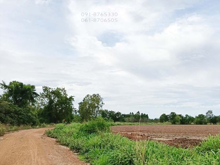 - ขายที่ดิน 42ไร่ ชัยนาท ที่สูง เห็นวิวเขาสวย ขายถูกราคาถูก