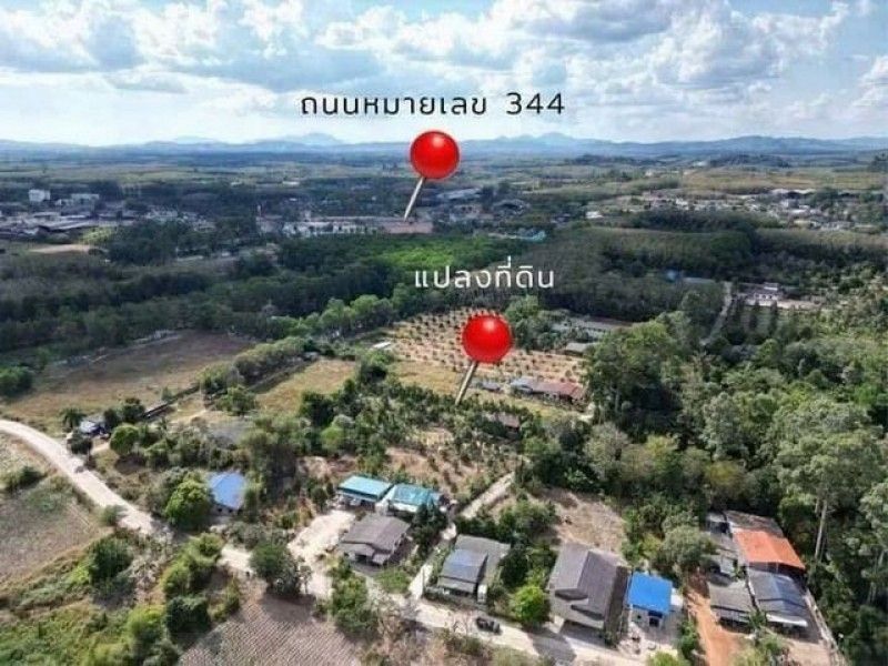 - ขายที่ดิน พร้อมสวนทุเรียน พร้อมผลผลิต แกลง ระยอง 2 ไร่กว่า TP-L2344