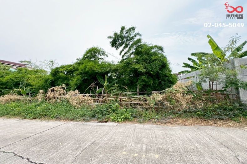- ขายที่ดิน 393 ตร.ว. ถนนศรีนครินทร์ อ่อนนุช 66 สวนหลวง ใกล้รถไฟฟ้าสายสีเหลือง