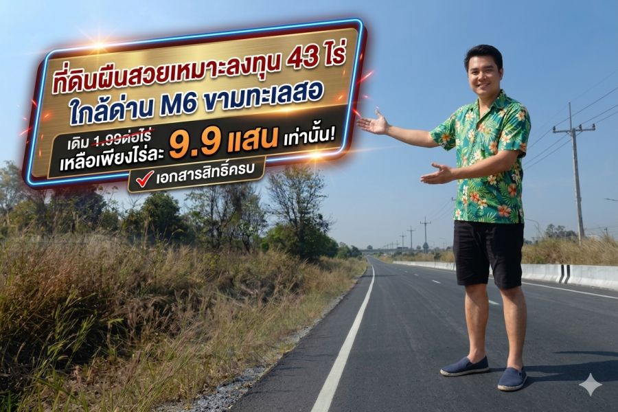 - ขายที่ดินเหมาะสร้างโกดัง เก็งกำไร โรงงาน หรือซื้อให้เช่าฯ บายพาส ขามทะเลสอ มอเตอร์เวย์ (M6) ขามทะเลสอ