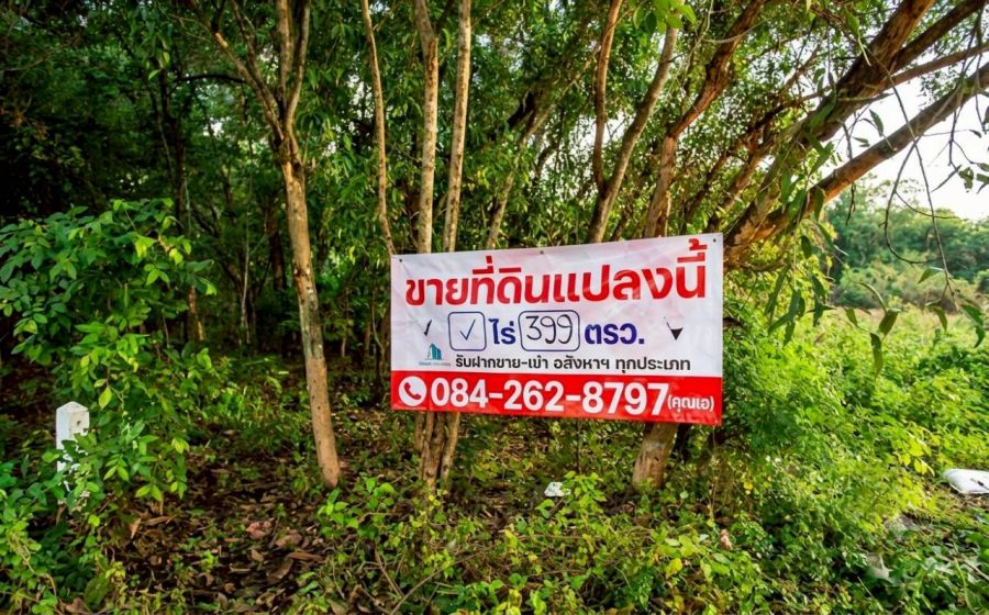 - ขายที่ดินในสนามกอล์ฟ ไพน์เฮิร์สท พหลโยธิน