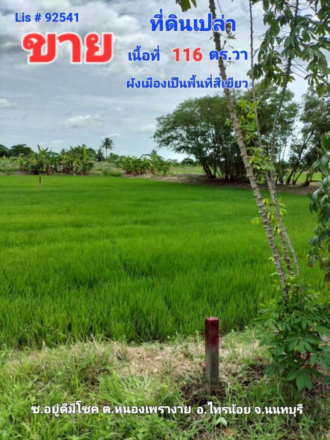 - ขายที่ดินเปล่า 116 ตร.ว. หนองเพรางาย ไทรน้อย นนทบุรีถมแล้วบางส่วน เหมาะสร้างบ้านสวน-คาเฟ่ ใกล้วัดลาดปลาดุก