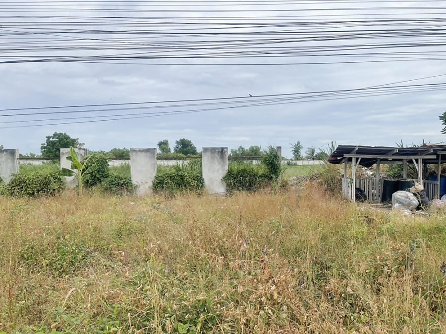 - ขายที่ดินถมแล้ว 17 ไร่ แยกนพวงศ์ ลาดหลุมแก้ว ปทุมธานี
