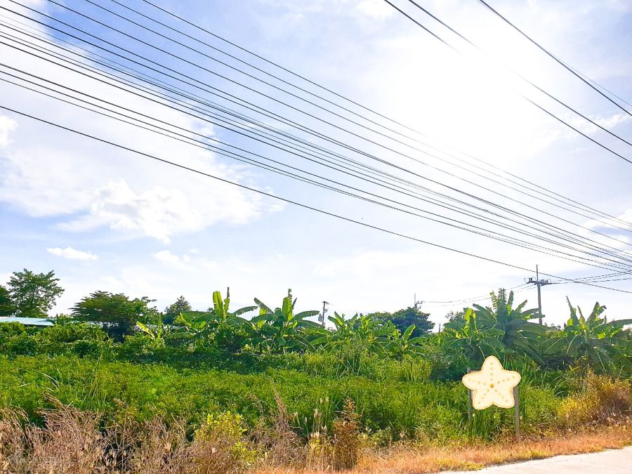 - ขายที่ดินเปล่า 4 ไร่ 3 งาน 49 ตร.ว. ซอยเกาะเกียง ราชพฤกษ์ตัดใหม่ 346 บรรยากาศสวนสไตล์รีสอร์ท