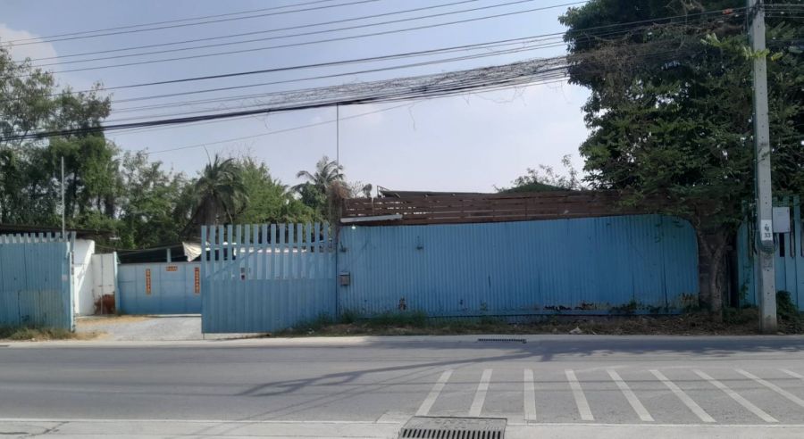 - ขายที่ดินผังสีเหลือง ต.บางม่วง อ.บางใหญ่ ใกล้แหล่งชุมชน