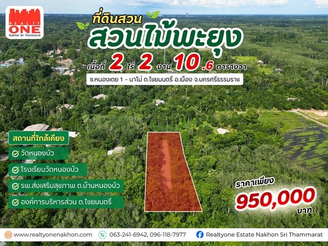 - สวนไม้พะยูง พร้อมบ่อน้ำภายในแปลง เนื้อที่ 2-2-10.61 ไร่ ต.ไชยมนตรี