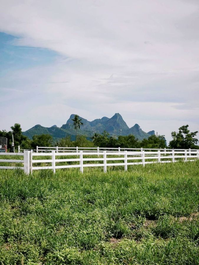 - ที่ดินแบ่งขาย ปราณบุรี ติดแกรนแคนยอนปราณบุรี เริ่ม 100ตรว.-3ไร่