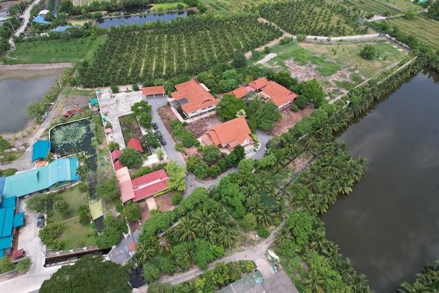 - ขายที่ดิน 10 ไร่ พร้อมบ้านเดี่ยว 3 หลัง (ผังสีชมพู) นาดี สมุทรสาคร เหมาะสร้างโรงงาน โกดัง