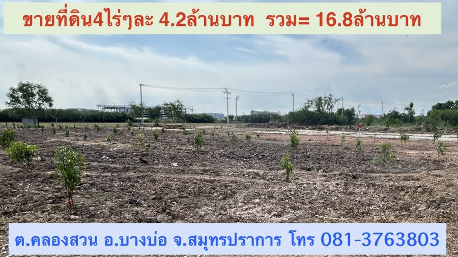 - ขายที่ดินขนาด 4 ไร่ ใกล้สนามบินสุวรรณภูมิ ตำบลคลองสวน อำเภอบางบ่อ จังหวัดสมุทรปราการ