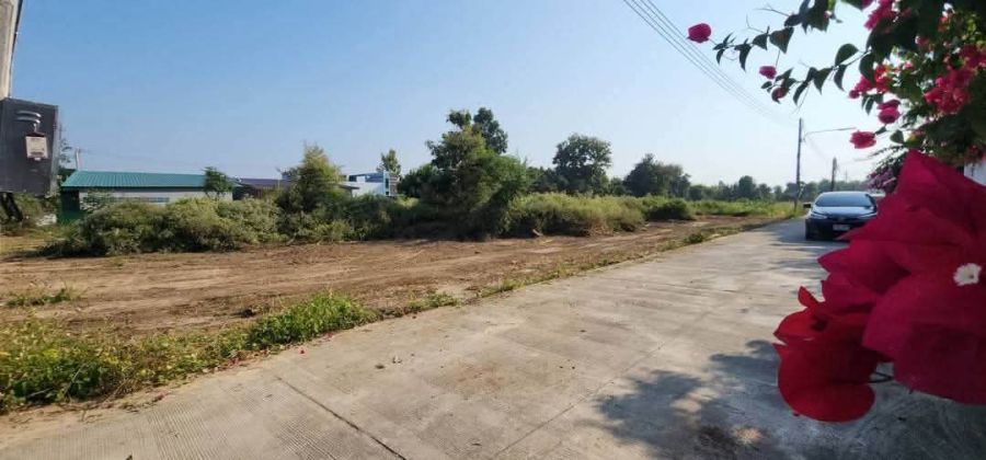 - ขายที่ดินตำบลน้ำแพร่หางดงห่างถนนคลองชลประทานเพียง 800เมตร