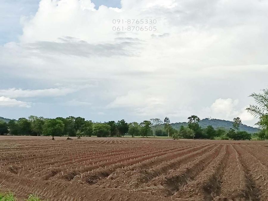 - ขายที่ดิน 22ไร่ ชัยนาท เขตแดนติดกับสุพรรณบุรี ที่สูง เห็นวิวเขาสวย ขายถูกราคาถูก