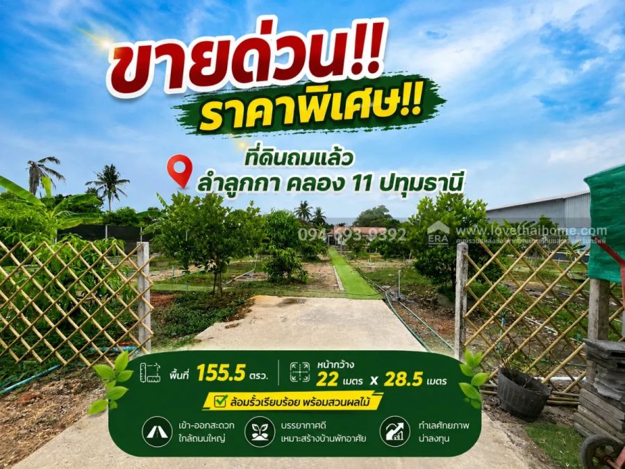 - ขายด่วน! ที่ดินถมแล้ว ย่านลำลูกกา คลอง 11 ปทุมธานี พื้นที่ 155.5 ตารางวา ทำเลดี ล้อมรั้วเรียบร้อย พร้อมสวนผลไม้พร้อมเก็บเกี่ยว และปลูกบ้านได้ทันที!