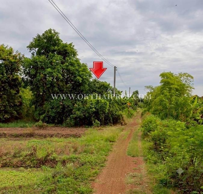 - ที่ดินจัดสรรแปลงสวย แปลงมุมติดถนน 2 ด้าน ใกล้สำนักงานสาธารณสุขจังหวัดลำพูน อ.เมืองลำพูน