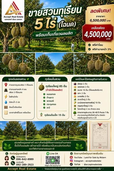 - ขายสวนทุเรียน 5 ไร่ (โฉนด) พร้อมเก็บเกี่ยวผลผลิต บ้านค่าย ระยอง