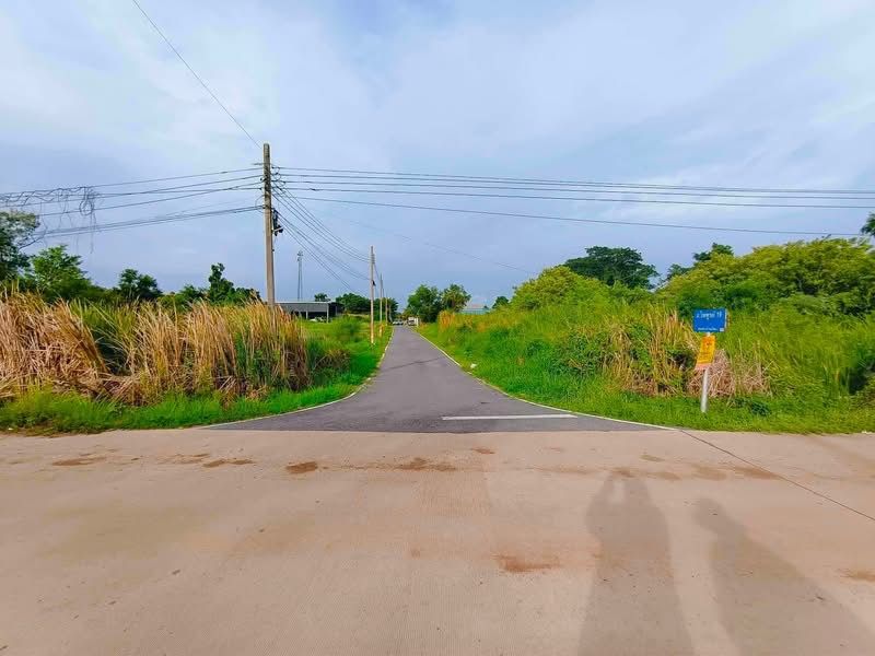 - ขายที่ดินนนทบุรีบางใหญ่าบ้านใหม่ราคาถูกทำเลดีมาก