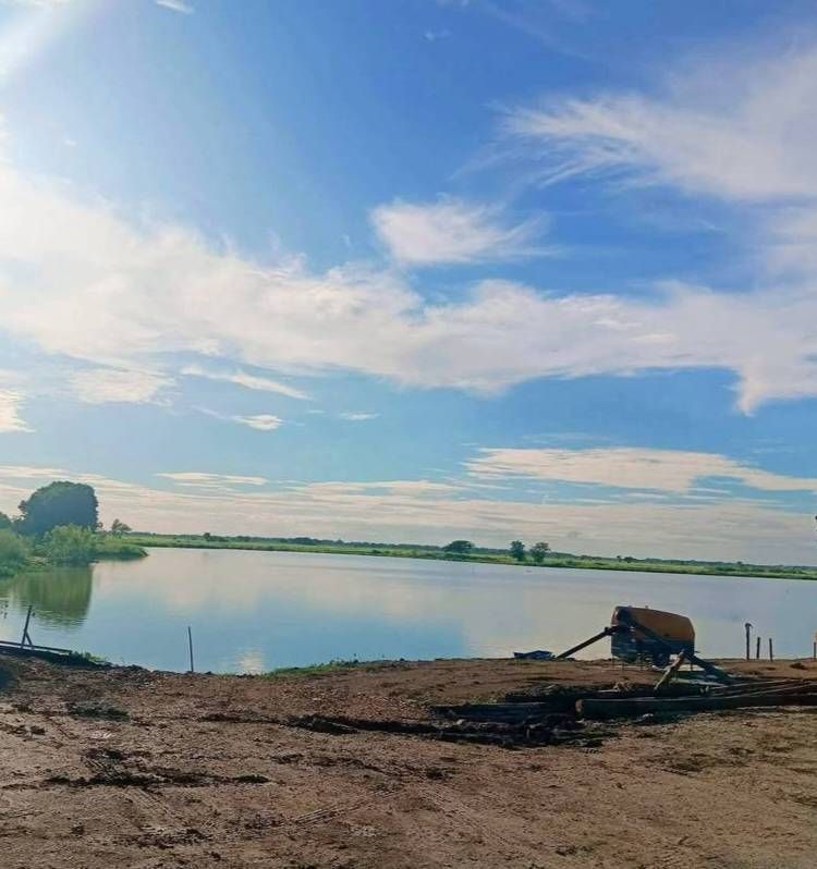 - ขายที่นา 12ไร่เศษ บางปะหัน อยุธยา ใกล้วัดตาลเอน ติดคลองบางพระครู