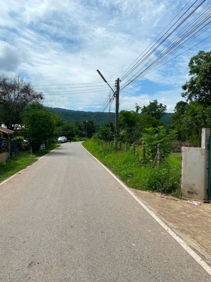 - ขายถูมาก!! ที่ดิน 9ไร่กว่า ติดถนน วิวภูเขา บรรยากาศดี ทำเลทอง อ.วังทอง จ.พิษณุโลก ใกล้ตลาดวังทอง 2 กม.