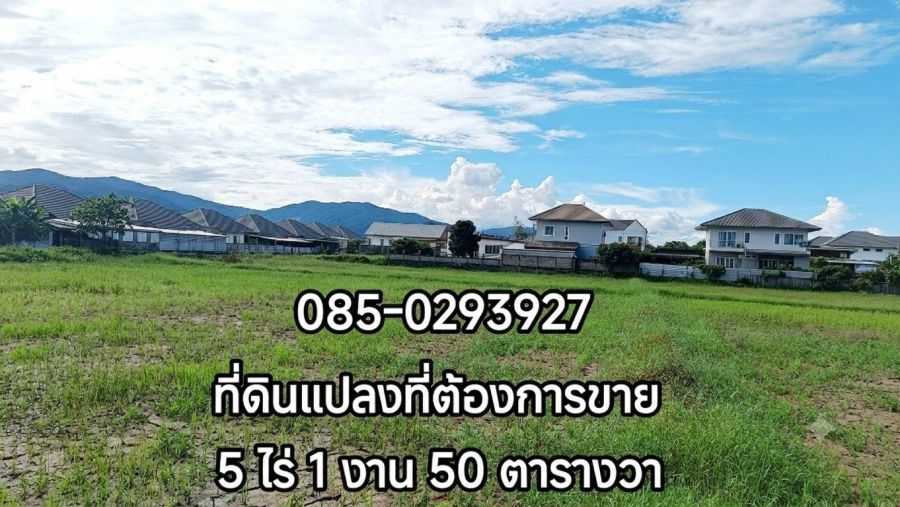 - ขายถูก ที่ดินเปล่า ใจกลางเมือง ใกล้โรงพยาบาลกรุงเทพเชียงราย อ.เมือง จ.เชียงราย