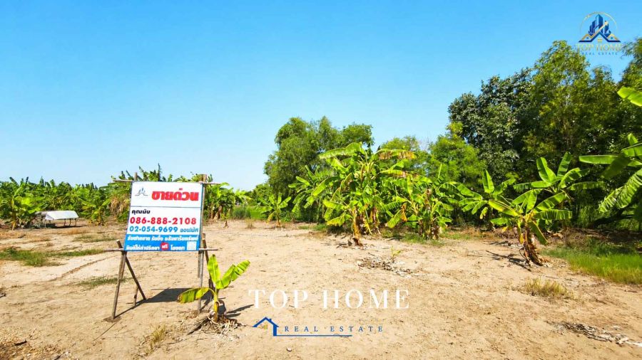 - ที่ดินจัดสรรแปลงสวย ถมแล้ว พร้อมพัฒนา 156 ตร.ว จังหวัดปทุมธานี