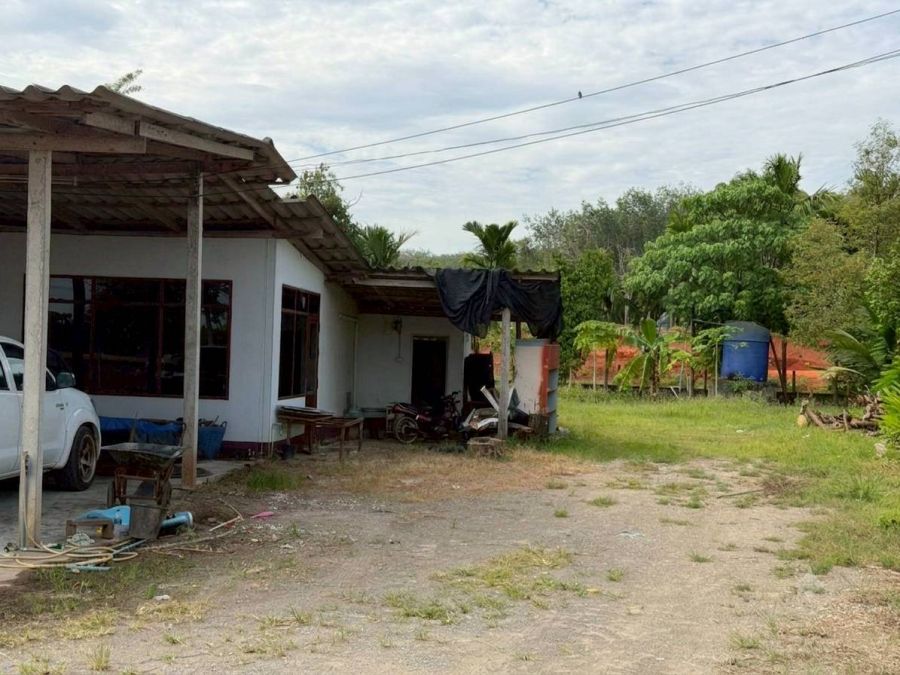 - ขายที่ดินพร้อมสิ่งปลูกสร้าง ทำเลทองพุนพิน เนื้อที่ 1 ไร่ 144 ตร.ว. ต.ท่าข้าม อ.พุนพิน จ.สุราษฎร์ธานี