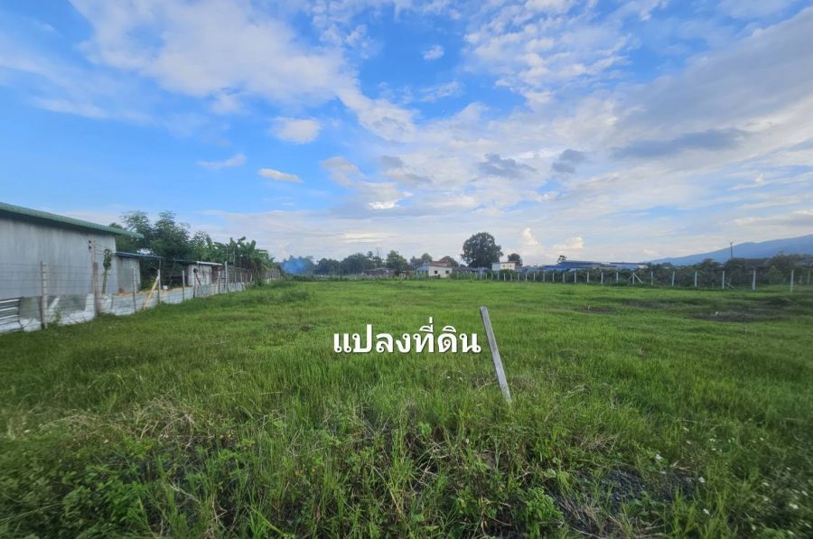 - ขายที่ดินเปล่า ทำเลดี แม่ริม เชียงใหม่ ราคาต่ำกว่าตลาด ใกล้มหาวิทยาลัยแม่โจ้ วิวดอยสุเทพ