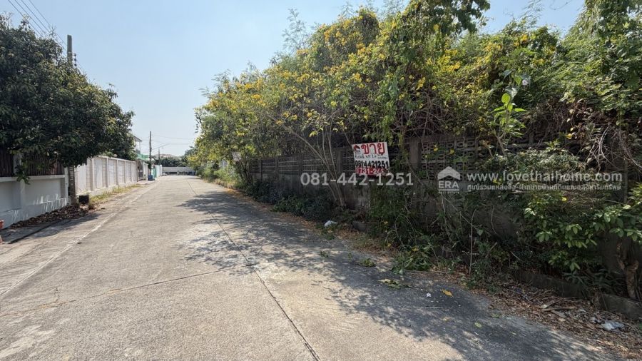 - ขายที่ดินถนนสวนผัก48 แยก2-1 ขายเท่ากับราคาประเมิน ถมแล้ว พื้นที่ 401 ตรว.ขายเพียง 25,000 บาท/ตารางวาเท่านั้นหาราคาแบบนี้ในย่านนี้ไม่มีอีกแล้ว