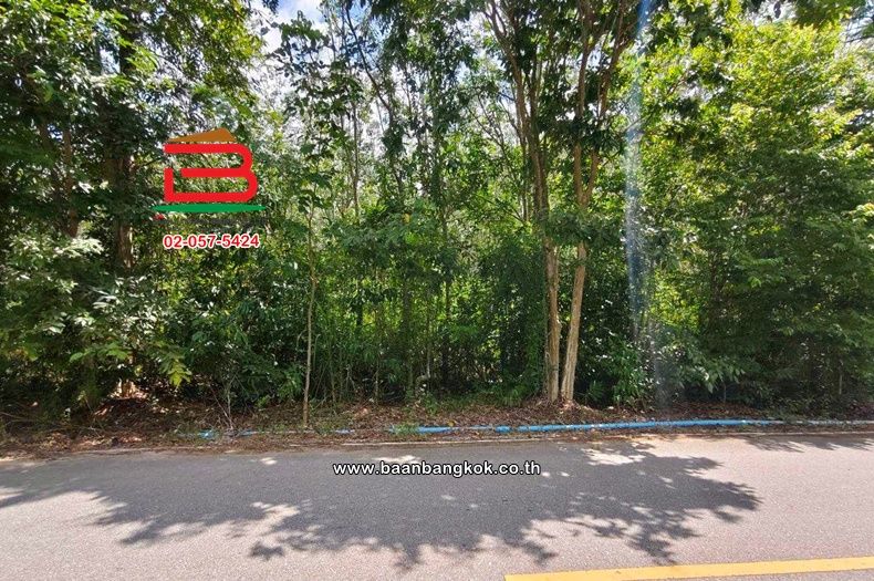 - ที่ดินเปล่า เนื้อที่ 17-0-53 ไร่ วังจันทร์-ระยอง ใก้ลถนนวัดเขาตลาด-ฮ่องกง ตำบลพลงตาเอี่ยม อำเภอวังจันทร์ ระยอง