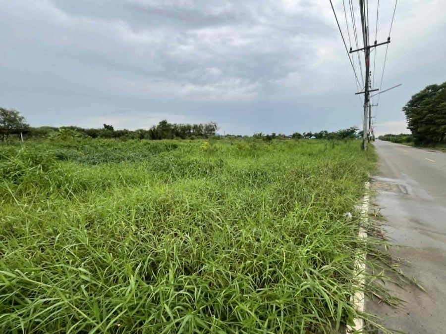 - ขายที่ดินซอยวัดแพรกวังตะเคียน 4 ไร่ ติดถนนคอนกรีต ใกล้ถนนเส้นสุวินทวงศ์304-800เมตร อ.เมืองฉะเชิงเทรา