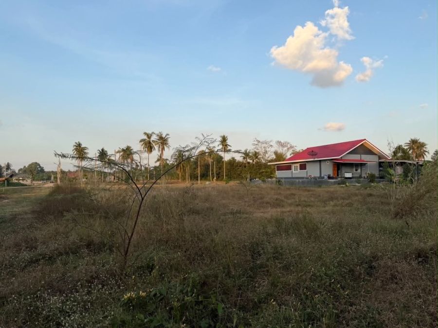 - ขายที่ดินห้วยใหญ่-ชากแง้ว 300 ตรว. ติดลำห้วย ใกล้ถนนเส้นสุขุมวิท3-7กม. อ.บางละมุง ชลบุรี