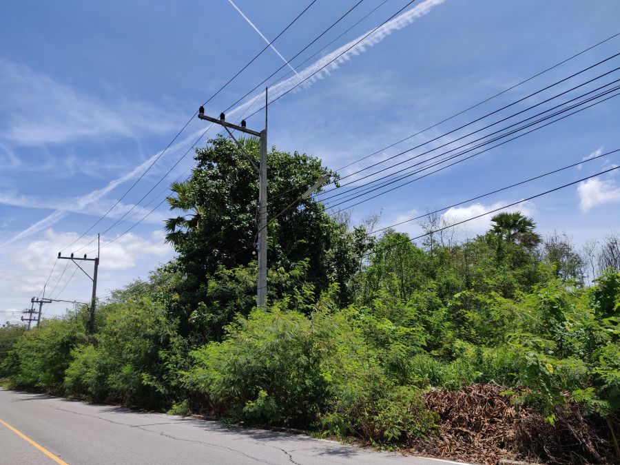 - ขายที่ดินแปลงเดี่ยว ท่าพระยา นครชัยศรี 209 ตร.ว.