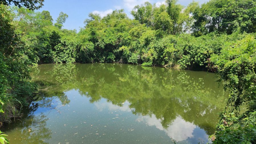 - ขายที่ดินพร้อมสวนและสิ่งปลูกสร้าง8หลัง บนที่ดิน 8ไร่ 41ตรว.