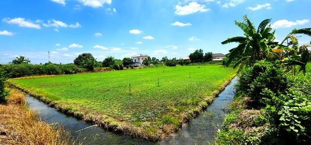 - ขายที่ดินคลอง 12 หนองเสือ 1 ไร่ ติดถนน 2 ด้าน เหมาะปลูกบ้านสวน ทำเกษตรพอเพียงได้ ทำโกดัง อยู่ใกล้แหล่งชุมชน