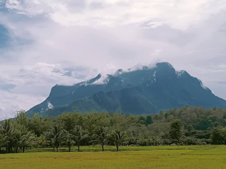 - ขายที่ดินติดวิวดอยหลวงเชียงดาวติดลำเหมืองโฉนดพร้อมโอน