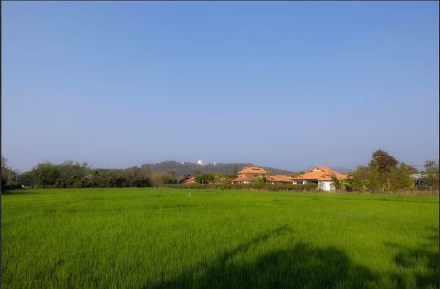 - ที่ดินดอยสะเก็ดทำเลทองใกล้ธรรมชาติบรรยากาศเงียบสงบ