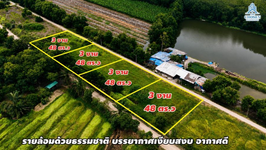 - ขายที่ดินแปลงสวย ทำเลดี ขายทั้งหมด 4 แปลงติดกัน แปลงละ 3 งาน 48 ตารางวา ตำบลนพรัตน์ อำเภอหนองเสือ จังหวัดปทุมธานี