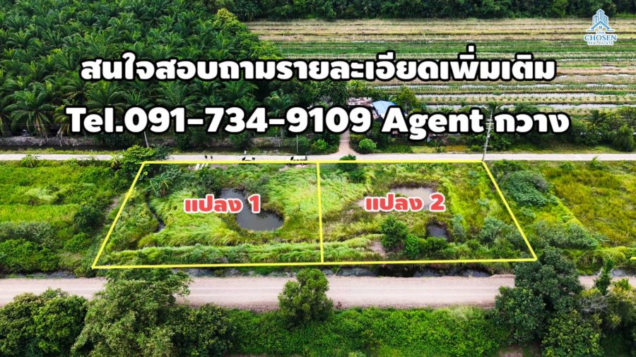 - ขายที่ดินแปลงสวย ทำเลดี แบ่งขาย 2 แปลงติดกัน เนื้อที่ 3 งาน 48 ตารางวาตำบลนพรัตน์ อำเภอหนองเสือ จังหวัดปทุมธานี